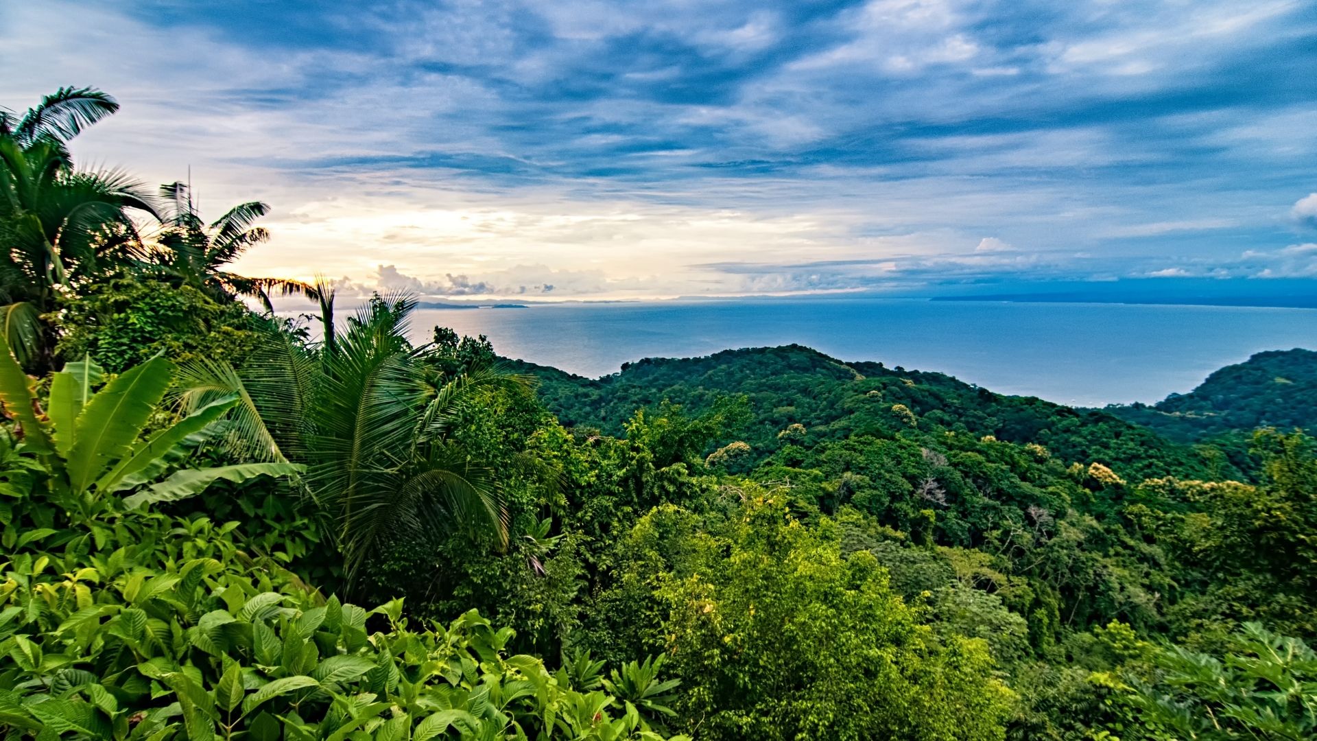 Arenal